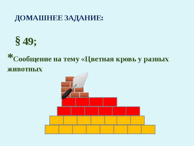 ДОМАШНЕЕ ЗАДАНИЕ: § 49; * Сообщение на тему «Цветная кровь у разных животных 