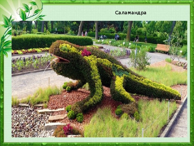 Саламандра