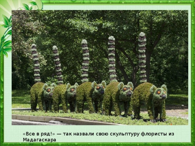 «Все в ряд!» — так назвали свою скульптуру флористы из Мадагаскара