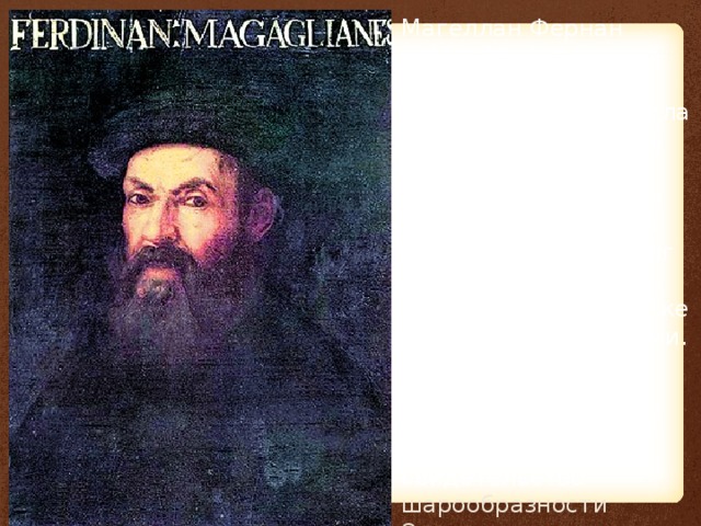 Магеллан Фернан (1470–1521 гг.), мореплаватель. Его экспедиция совершила первое кругосветное плавание. Первым пересёк Тихий океан (1520 г.), обнаружив остров Гуам, и достиг Филиппинских о-вов, где был убит в схватке с местными жителями. Доказал наличие единого Мирового океана и представил практическое свидетельство шарообразности Земли . 