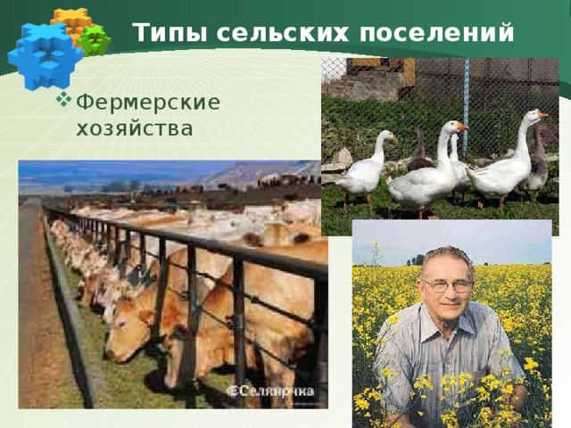 Научные центры Решение об основании Академгородка было принято в 1957 году. Уже в 1959-м были введены в эксплуатацию первые здания институтов и жилых домов. Сегодня в Академгородке работает около 15 000 исследователей. Это первый научный город в мире. Академгородок ( Новосибирск) 