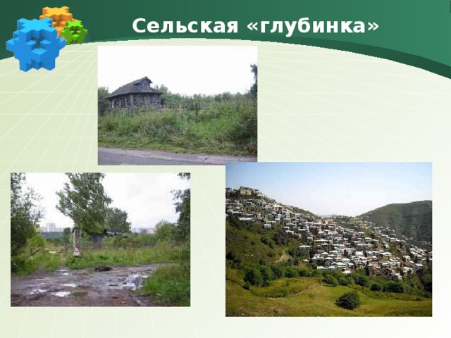Типы сельских поселений Фермерские хозяйства 