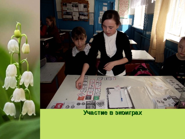 Участие в экоиграх 