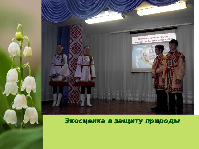  Экосценка в защиту природы 