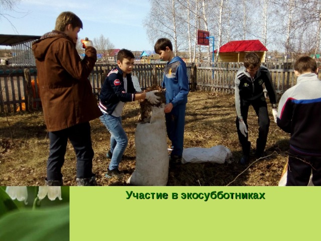 Участие в экосубботниках  