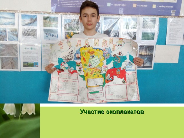 Участие экоплакатов 