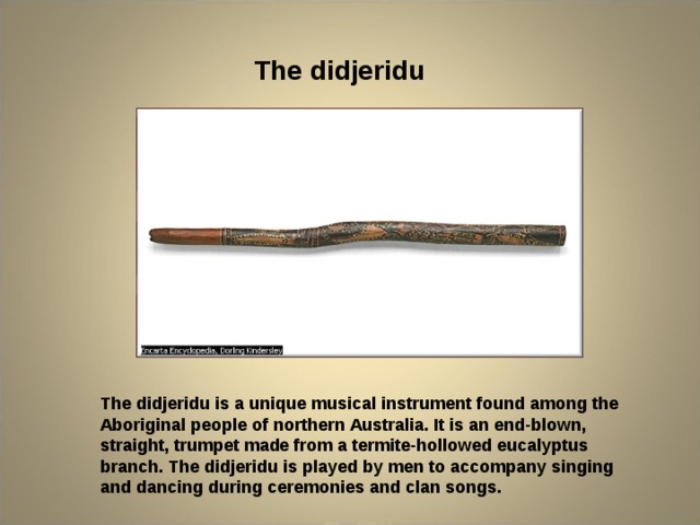 The didjeridu The didjeridu is a unique musical instrument found among the Aboriginal people of northern Australia. It is an end-blown, straight, trumpet made from a termite-hollowed eucalyptus branch. The didjeridu is played by men to accompany singing and dancing during ceremonies and clan songs. 