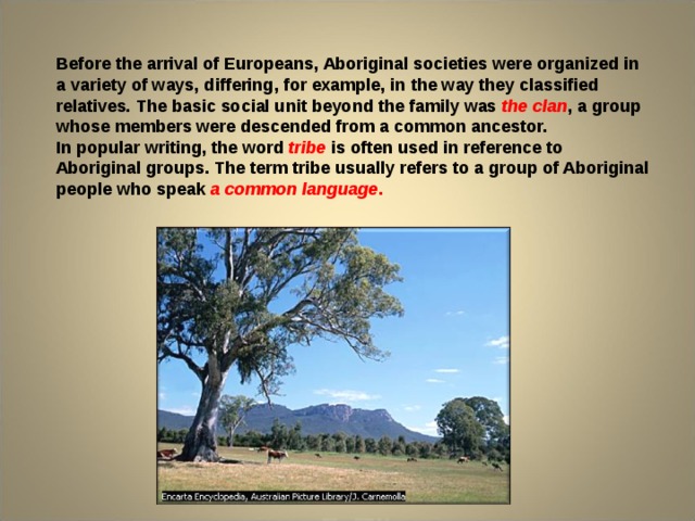 Before the arrival of Europeans, Aboriginal societies were organized in a variety of ways, differing, for example, in the way they classified relatives. The basic social unit beyond the family was the clan , a group whose members were descended from a common ancestor. In popular writing, the word  tribe  is often used in reference to Aboriginal groups. The term tribe usually refers to a group of Aboriginal people who speak a common language . 