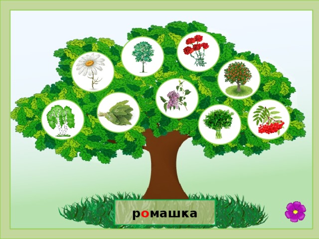 р о машка 