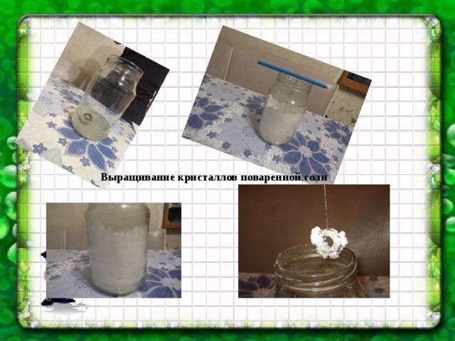 Выращивание кристаллов поваренной соли 