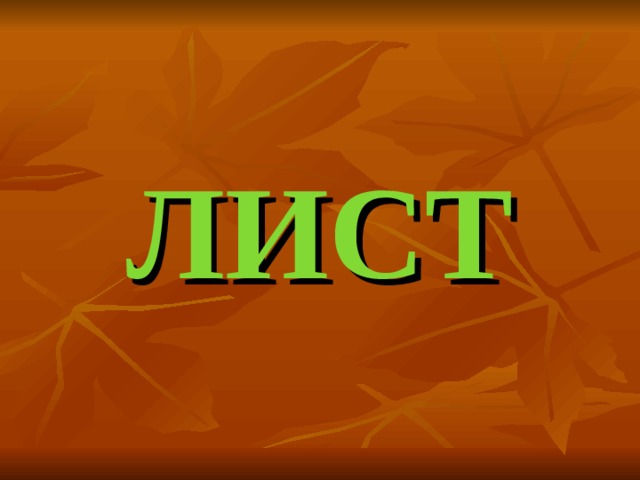 ЛИСТ 