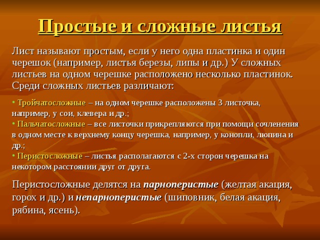 Простые и сложные листья Лист называют простым, если у него одна пластинка и один черешок (например, листья березы, липы и др.) У сложных листьев на одном черешке расположено несколько пластинок. Среди сложных листьев различают:  Тройчатосложные – на одном черешке расположены 3 листочка, например, у сои, клевера и др.;  Пальчатосложные – все листочки прикрепляются при помощи сочленения в одном месте к верхнему концу черешка, например, у конопли, люпина и др.;  Перистосложные – листья располагаются с 2-х сторон черешка на некотором расстоянии друг от друга. Перистосложные делятся на парноперистые (желтая акация, горох и др.) и непарноперистые (шиповник, белая акация, рябина, ясень). 