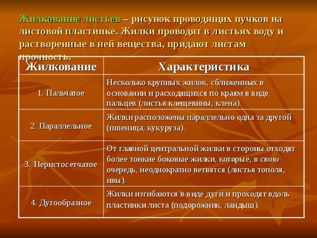 Жилкование листьев – рисунок проводящих пучков на листовой пластинке. Жилки проводят в листьях воду и растворенные в ней вещества, придают листам прочность. Характеристика Жилкование 1. Пальчатое Несколько крупных жилок, сближенных в основании и расходящихся по краям в виде пальцев (листья клещевины, клена). 2. Параллельное Жилки расположены параллельно одна за другой (пшеница, кукуруза). 3. Перистосетчатое От главной центральной жилки в стороны отходят более тонкие боковые жилки, которые, в свою очередь, неоднократно ветвятся (листья тополя, ивы). Жилки изгибаются в виде дуги и проходят вдоль пластинки листа (подорожник, ландыш). 4. Дугообразное 