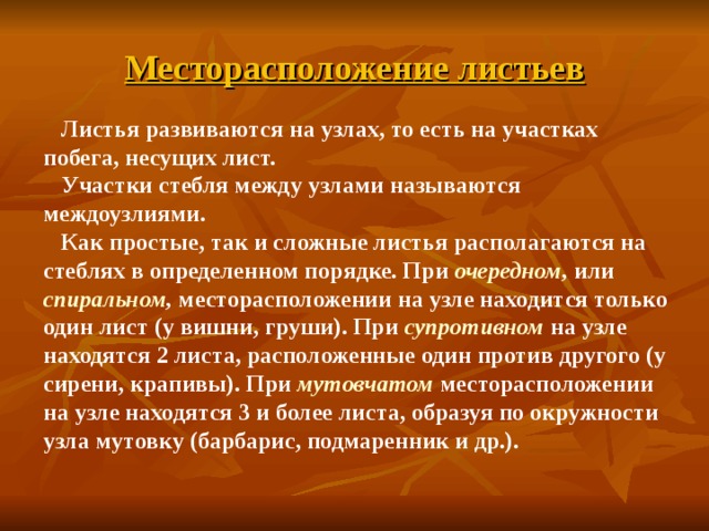 Месторасположение листьев  Листья развиваются на узлах, то есть на участках побега, несущих лист.  Участки стебля между узлами называются междоузлиями.  Как простые, так и сложные листья располагаются на стеблях в определенном порядке. При очередном , или спиральном , месторасположении на узле находится только один лист (у вишни, груши). При супротивном  на узле находятся 2 листа, расположенные один против другого (у сирени, крапивы). При мутовчатом месторасположении на узле находятся 3 и более листа, образуя по окружности узла мутовку (барбарис, подмаренник и др.).  