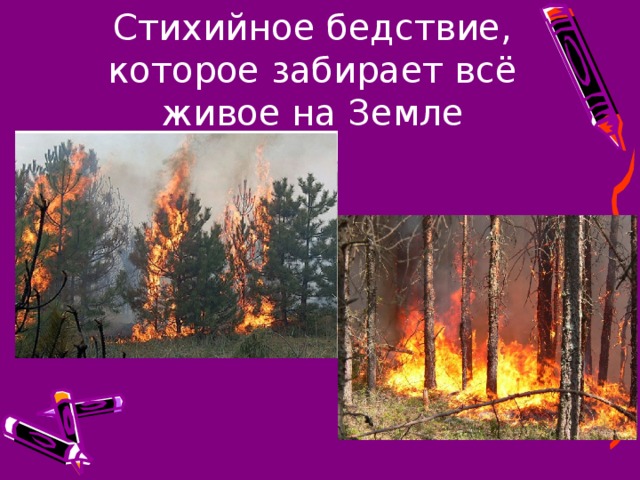 Стихийное бедствие, которое забирает всё живое на Земле 