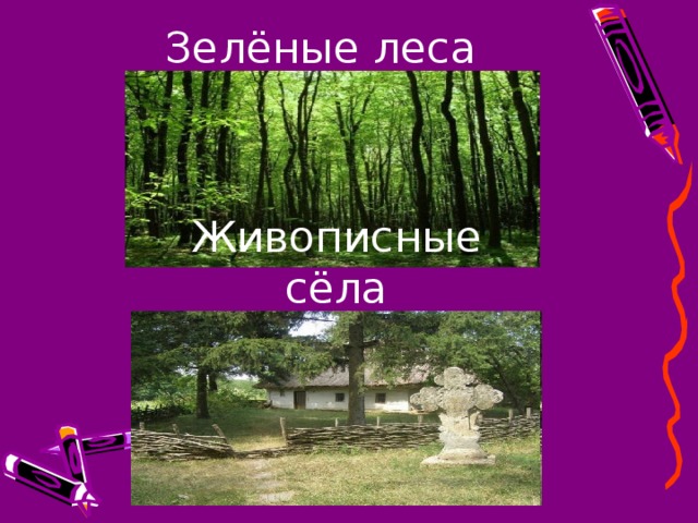 Зелёные леса Живописные  сёла 