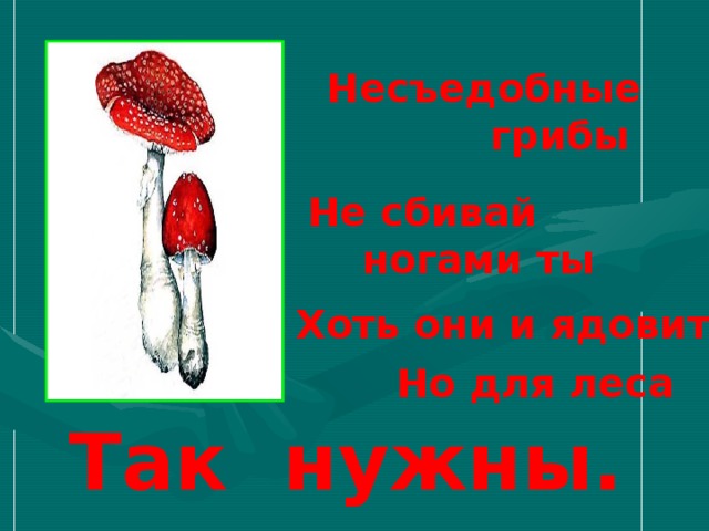 Несъедобные  грибы Не сбивай  ногами ты Хоть они и ядовиты Но для леса Так нужны. 