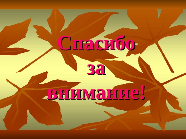 Спасибо  за  внимание! 
