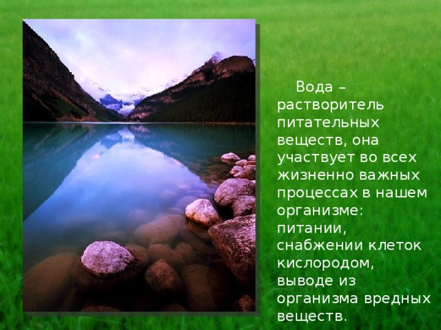  Вода – растворитель питательных веществ, она участвует во всех жизненно важных процессах в нашем организме: питании, снабжении клеток кислородом, выводе из организма вредных веществ. 