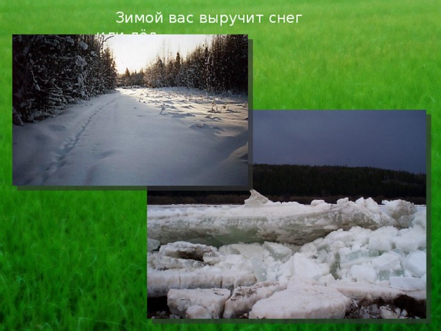  Зимой вас выручит снег или лёд. 