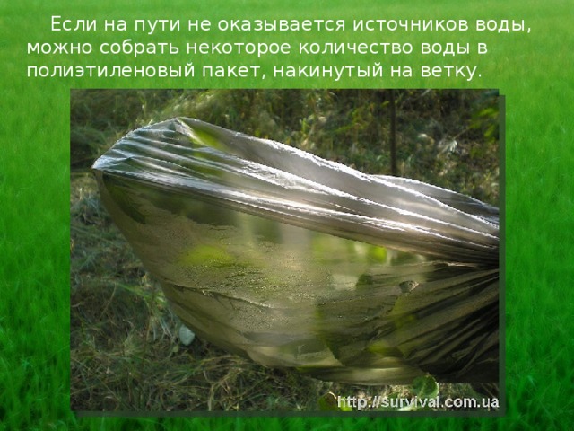  Если на пути не оказывается источников воды, можно собрать некоторое количество воды в полиэтиленовый пакет, накинутый на ветку. 