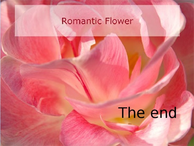 The end  