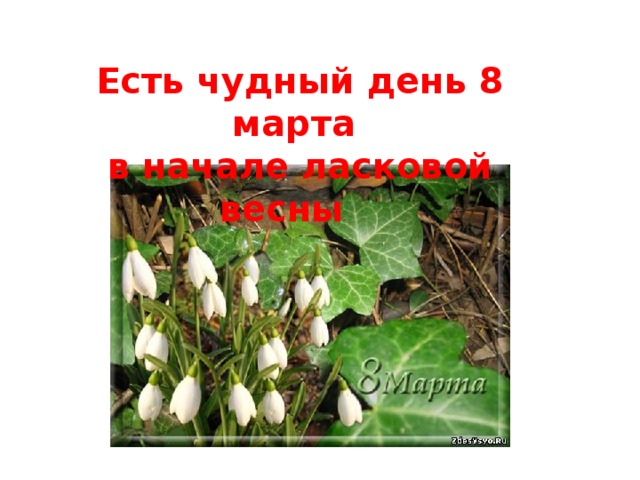 Есть чудный день 8 марта в начале ласковой весны 