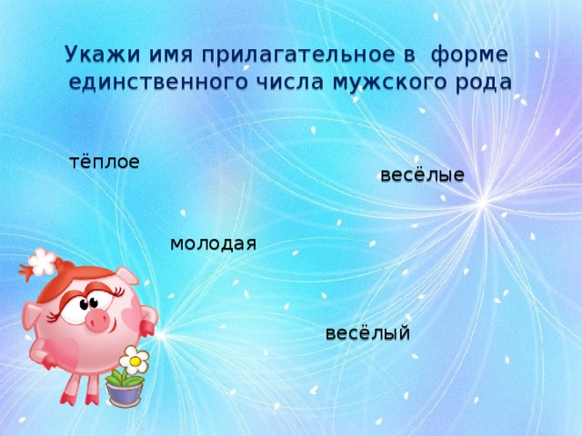 Укажи имя прилагательное в форме  единственного числа мужского рода тёплое весёлые молодая весёлый 