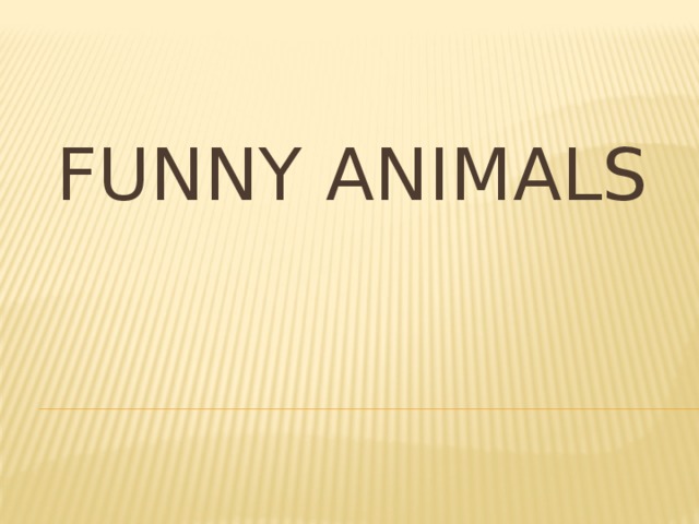 FUNNY ANIMALS 