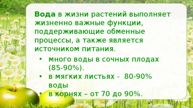 Вода в жизни растений выполняет жизненно важные функции, поддерживающие обменные процессы, а также является источником питания. много воды в сочных плодах (85-90%). в мягких листьях - 80-90% воды в корнях – от 70 до 90%. 