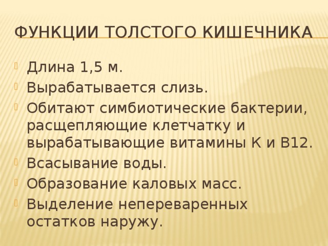 Функции толстого кишечника Длина 1,5 м. Вырабатывается слизь. Обитают симбиотические бактерии, расщепляющие клетчатку и вырабатывающие витамины К и В12. Всасывание воды. Образование каловых масс. Выделение непереваренных остатков наружу. 