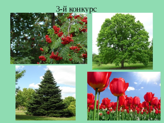 3-й конкурс 