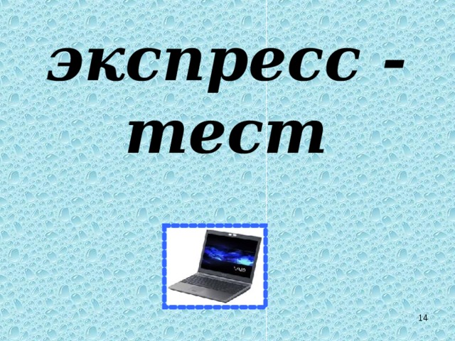 экспресс - тест