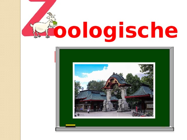 oologischer 