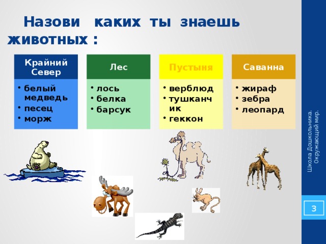 Школа Дошкольника. Окружающий мир.  Назови каких ты знаешь животных : Пустыня Крайний Север Саванна Лес жираф зебра леопард жираф зебра леопард верблюд тушканчик геккон верблюд тушканчик геккон лось белка барсук лось белка барсук белый медведь песец морж белый медведь песец морж 2 