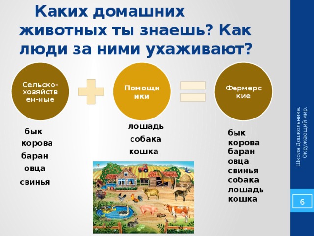 Школа Дошкольника. Окружающий мир.  Каких домашних животных ты знаешь? Как люди за ними ухаживают? Помощники Фермерские Сельско-хозяйствен-ные лошадь бык бык корова баран овца свинья собака лошадь кошка собака корова кошка баран овца свинья 6 