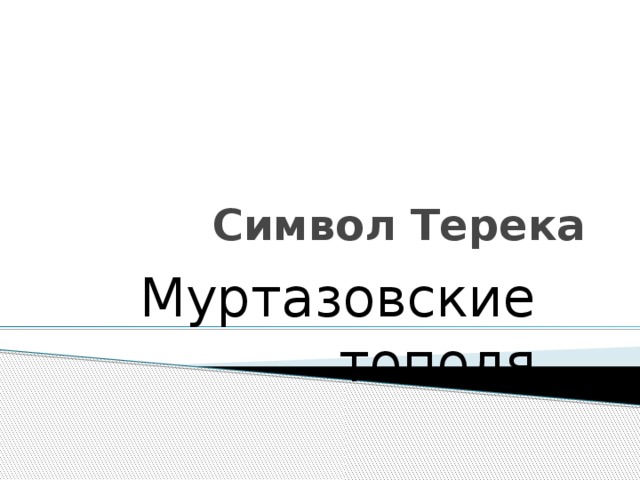 Символ Терека Муртазовские тополя 