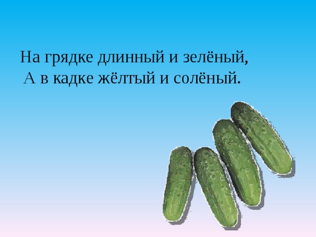 На грядке длинный и зелёный,  А в кадке жёлтый и солёный.   