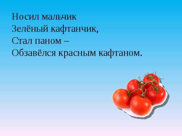 Носил мальчик Зелёный кафтанчик, Стал паном – Обзавёлся красным кафтаном. 