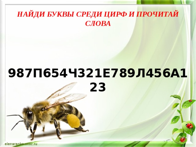 НАЙДИ БУКВЫ СРЕДИ ЦИРФ И ПРОЧИТАЙ СЛОВА 987П654Ч321Е789Л456А123