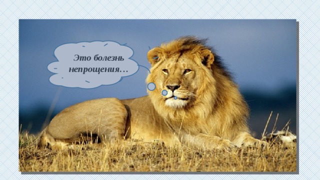 Это болезнь непрощения… 