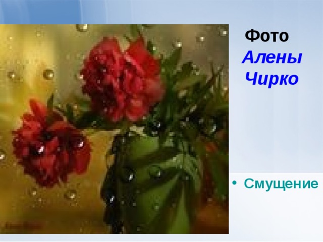 Фото  Алены Чирко