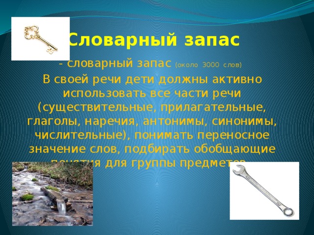 Словарный запас  - словарный запас (около 3000 слов)   В своей речи дети должны активно использовать все части речи (существительные, прилагательные, глаголы, наречия, антонимы, синонимы, числительные), понимать переносное значение слов, подбирать обобщающие понятия для группы предметов  