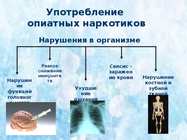 Употребление конопли Нарушения в организме Ослабление иммунитета Тяжелые повреждения головного мозга Хроническая сердечная недостаточность Повышение нагрузки на сердце Хронический бронхит Рак легких 