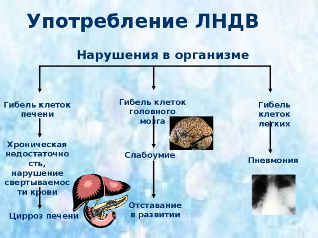 Употребление галлюциногенов Нарушения в организме Головной мозг Печень Разрушение психики Печеночная недостаточность Психоз 