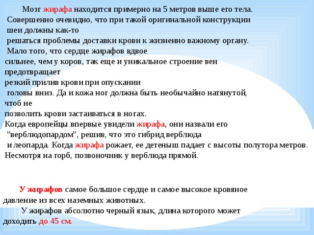  Мозг жирафа находится примерно на 5 метров выше его тела.  Совершенно очевидно, что при такой оригинальной конструкции  шеи должны как-то  решаться проблемы доставки крови к жизненно важному органу.  Мало того, что сердце жирафов вдвое сильнее, чем у коров, так еще и уникальное строение вен предотвращает резкий прилив крови при опускании  головы вниз. Да и кожа ног должна быть необычайно натянутой, чтоб не позволить крови застаиваться в ногах. Когда европейцы впервые увидели жирафа , они назвали его  
