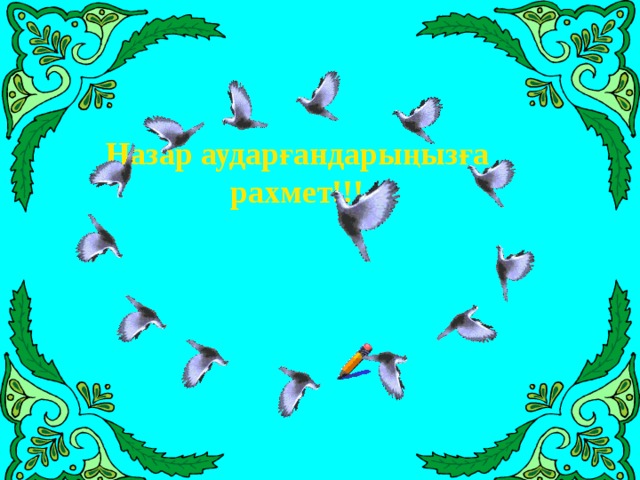 Назар аударғандарыңызға рахмет!!! 