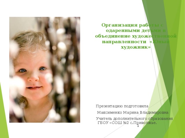  Организация работы с одаренными детьми в объединение художественной направленности «Юный художник»  Презентацию подготовила  Максименко Марина Владимировна Учитель дополнительного образования ГБОУ «СОШ №2 с.Приволжье.  