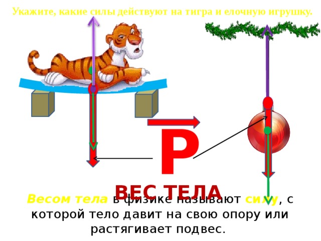 Укажите, какие силы действуют на тигра и елочную игрушку. Р ВЕС ТЕЛА Весом тела в физике называют силу , с которой тело давит на свою опору или растягивает подвес. 