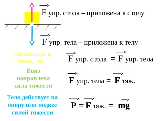 F  упр. стола – приложена к столу F  упр. тела – приложена к телу Так как тело в покое, то F  упр. стола =  F  упр. тела Вниз направлена сила тяжести F  тяж. F  упр. тела  =  Тело действует на опору или подвес силой тяжести Р  =  F  тяж. =  mg  